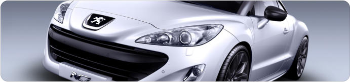 ecu remap peugeot 307